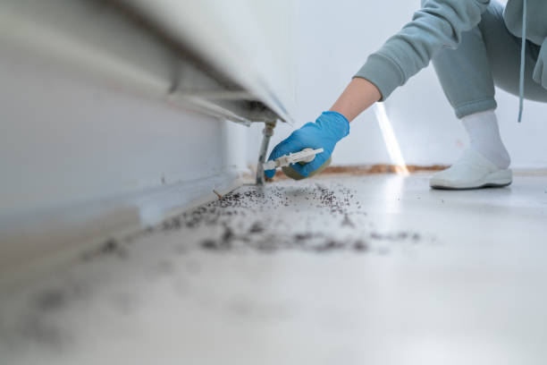 Best Commercial Pest Control Services  in USA